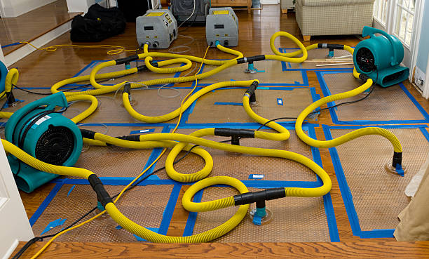Professional Basement Flood Cleanup technician working in Batavia, OH